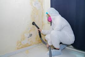 Best Biohazard Mold Removal  in Sands Point, NY